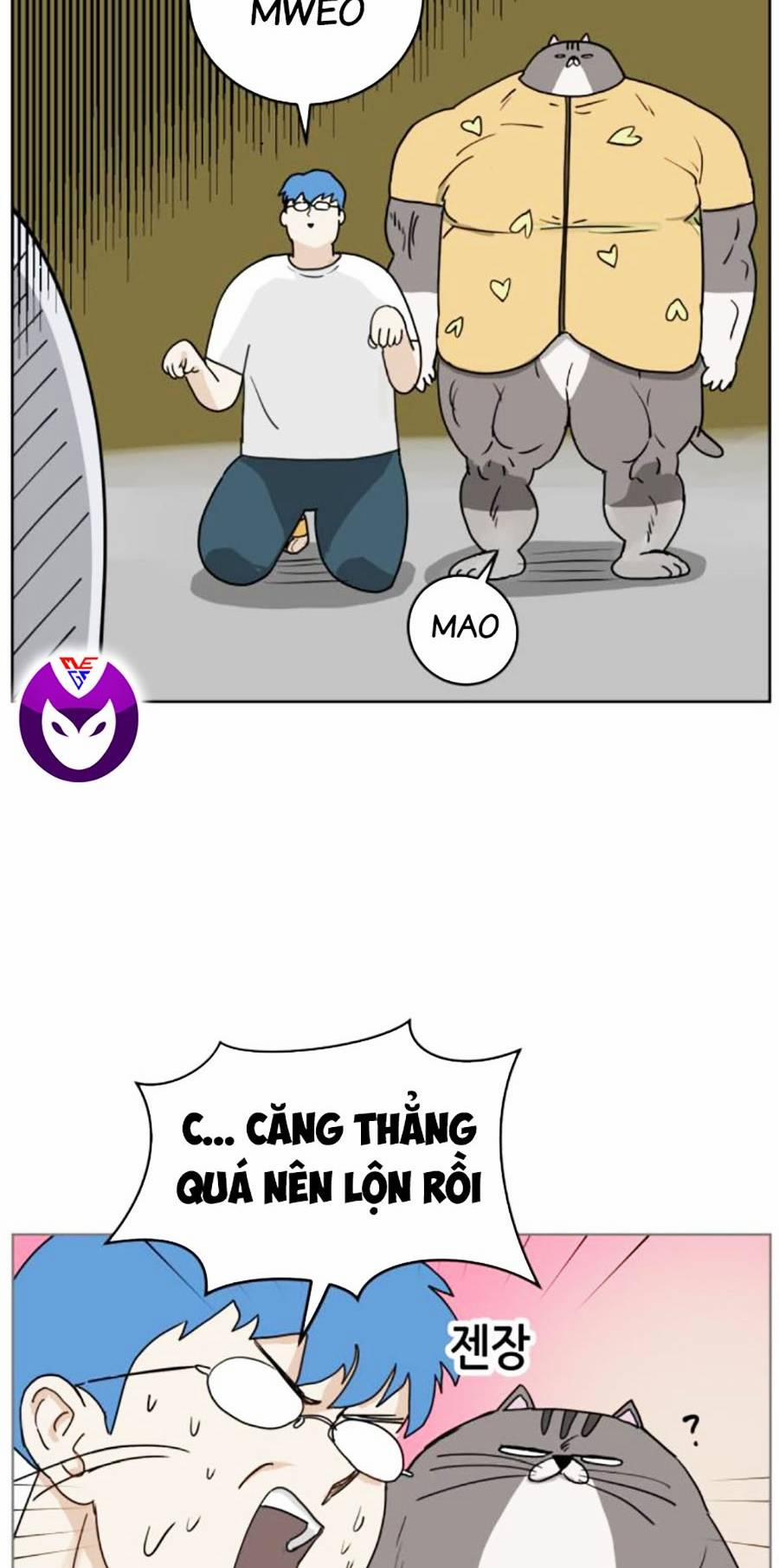 manhwax10.com - Truyện Manhwa Con Mèo Đô Vật Của Tôi Chương 3 Trang 10