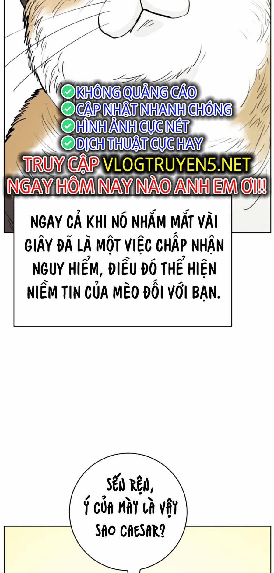 manhwax10.com - Truyện Manhwa Con Mèo Đô Vật Của Tôi Chương 4 Trang 17