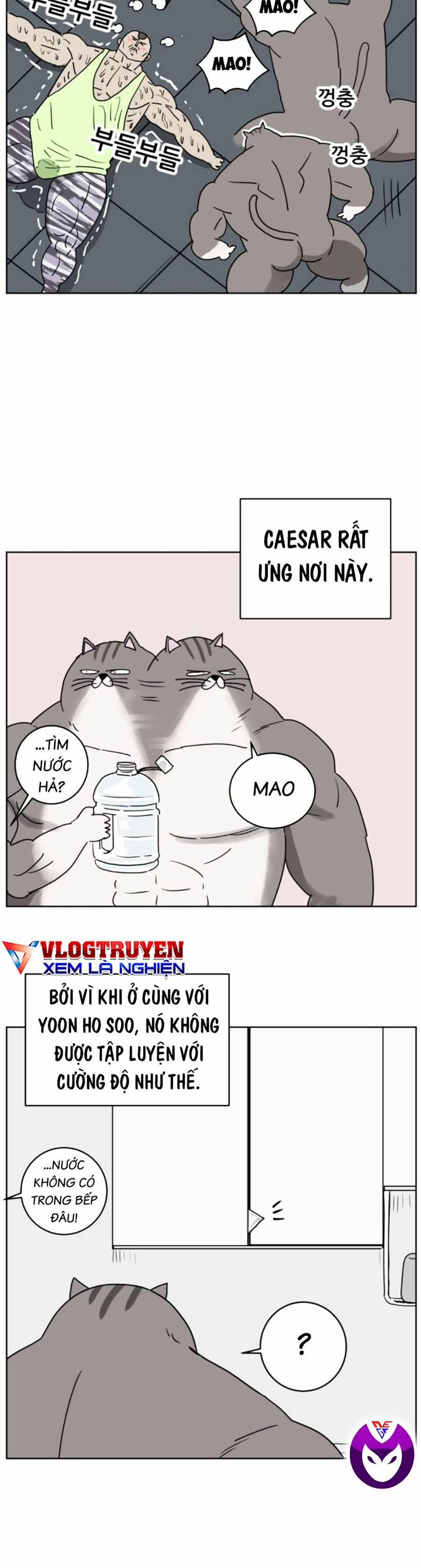 manhwax10.com - Truyện Manhwa Con Mèo Đô Vật Của Tôi Chương 5 Trang 20