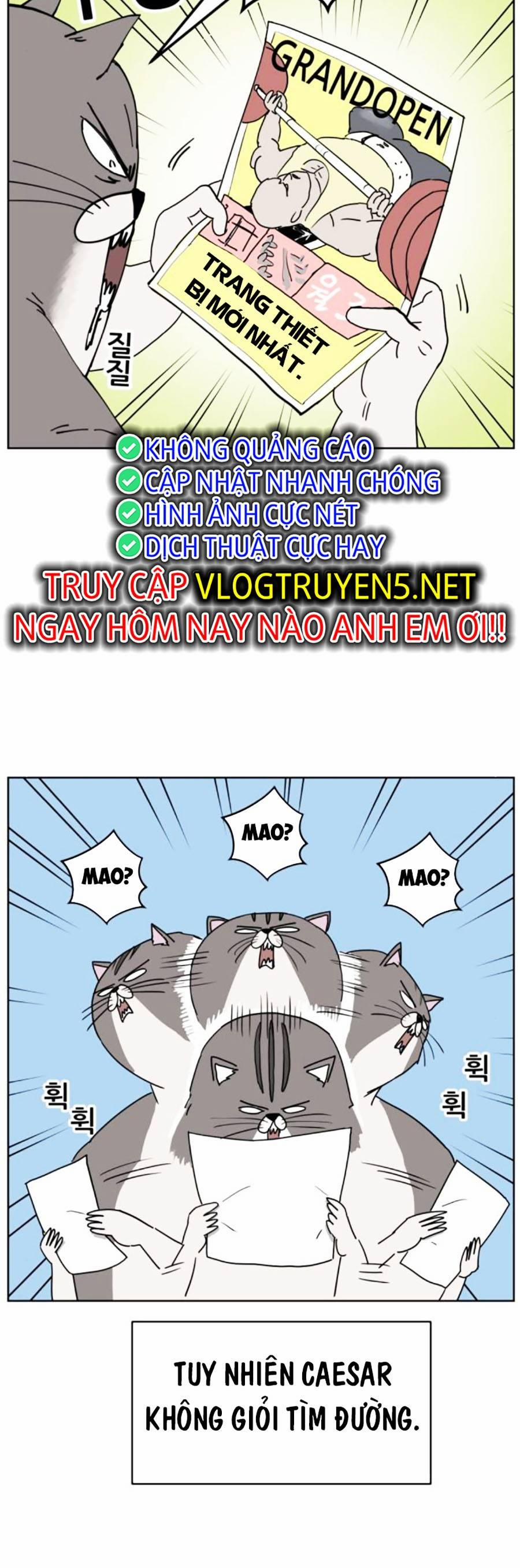 manhwax10.com - Truyện Manhwa Con Mèo Đô Vật Của Tôi Chương 7 Trang 20