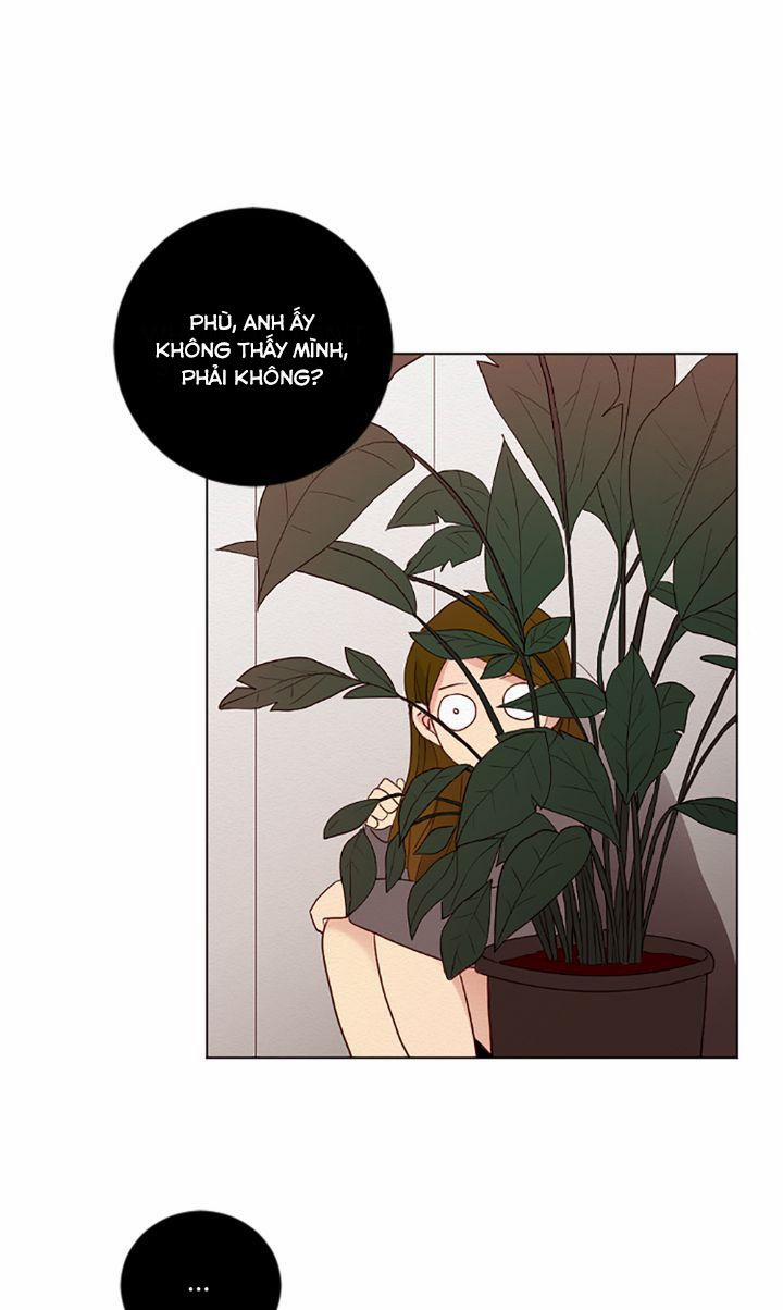 manhwax10.com - Truyện Manhwa Crush Của Tôi Chương 13 Trang 41