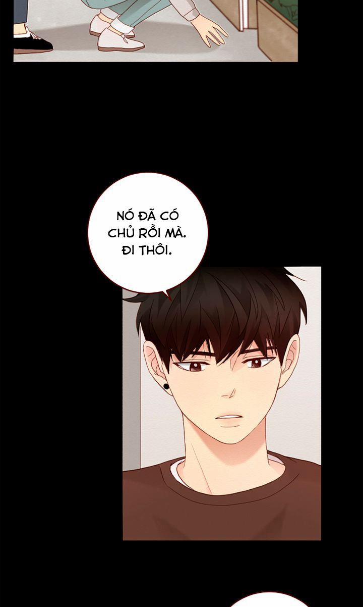 manhwax10.com - Truyện Manhwa Crush Của Tôi Chương 16 Trang 12