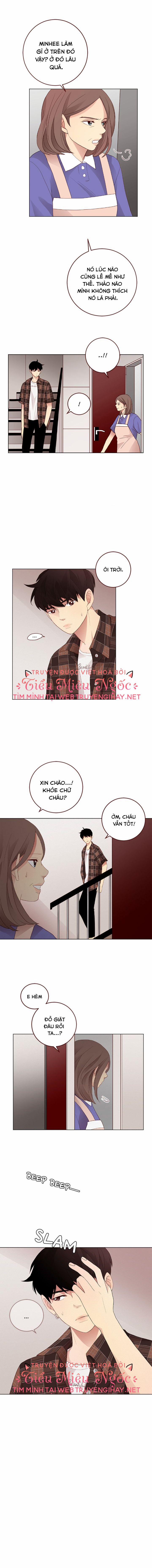 manhwax10.com - Truyện Manhwa Crush Của Tôi Chương 8 Trang 8