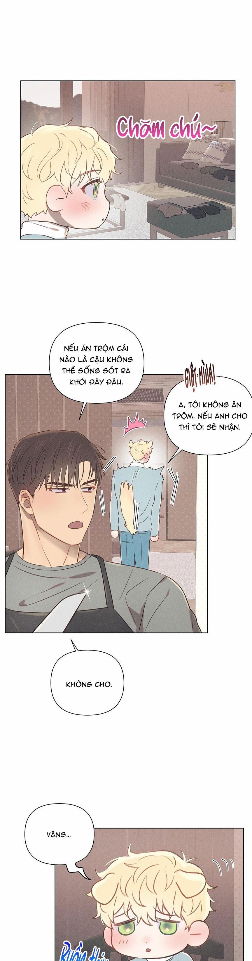 manhwax10.com - Truyện Manhwa ĐẠI ÚY YÊU DẤU CỦA TÔI Chương 19 Trang 18