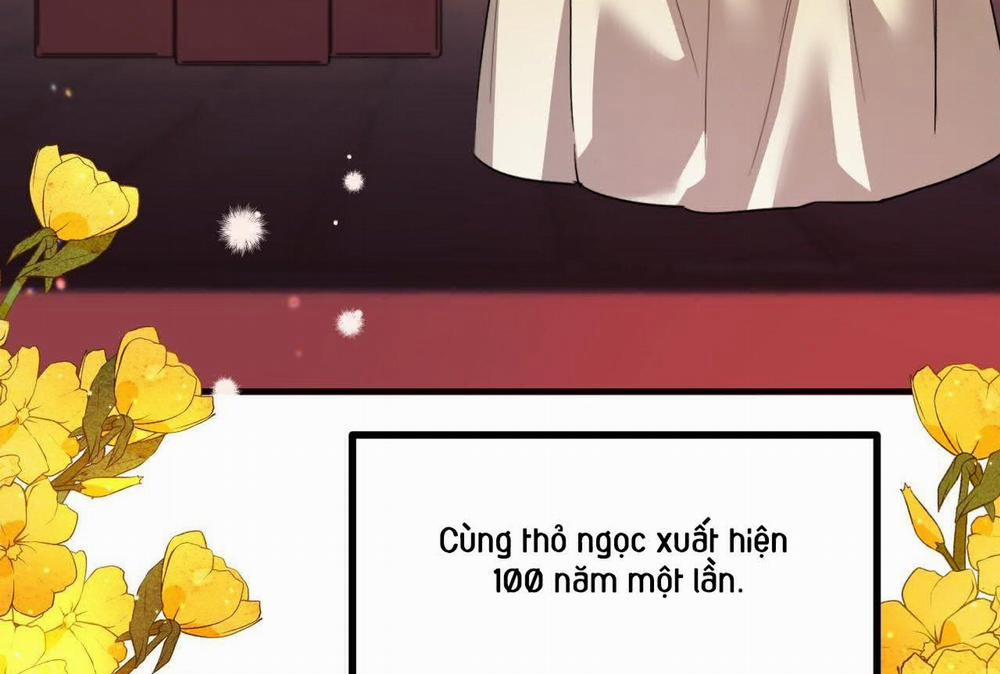 manhwax10.com - Truyện Manhwa Đàn Thỏ Của Habibi Chương 0 End Trang 123