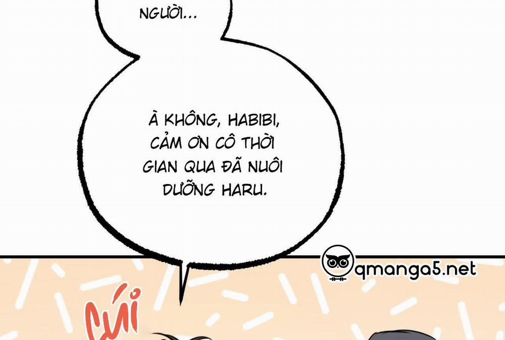 manhwax10.com - Truyện Manhwa Đàn Thỏ Của Habibi Chương 0 End Trang 143