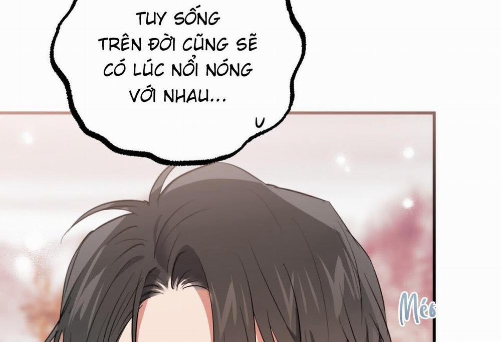 manhwax10.com - Truyện Manhwa Đàn Thỏ Của Habibi Chương 0 End Trang 166