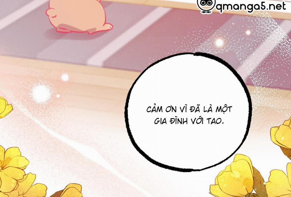 manhwax10.com - Truyện Manhwa Đàn Thỏ Của Habibi Chương 0 End Trang 211