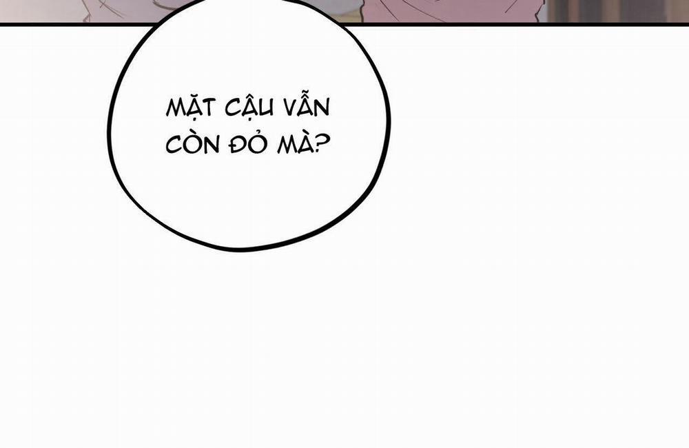 manhwax10.com - Truyện Manhwa Đàn Thỏ Của Habibi Chương 19 Trang 10