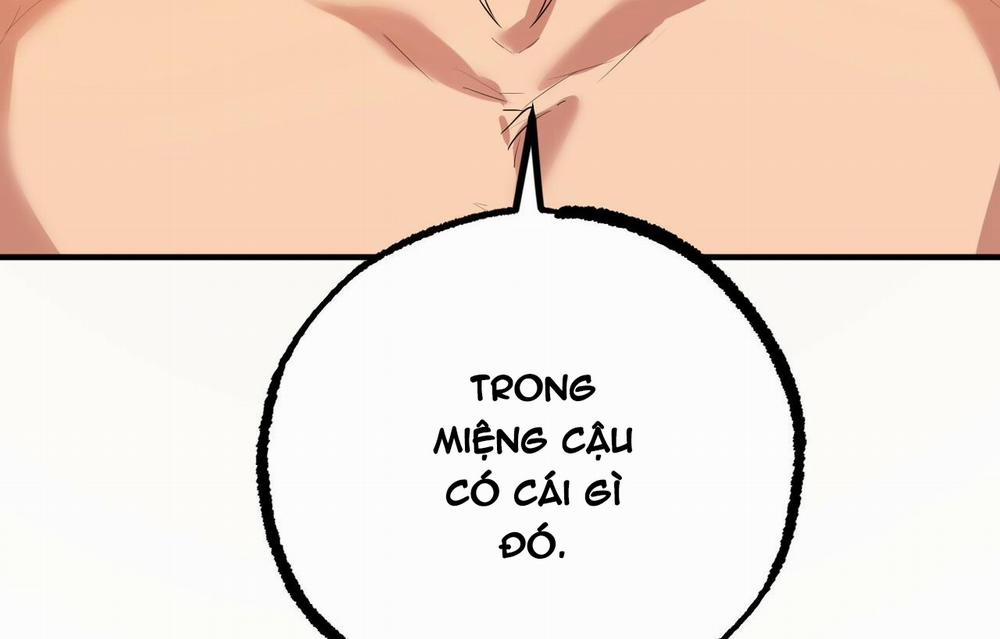 manhwax10.com - Truyện Manhwa Đàn Thỏ Của Habibi Chương 26 Trang 69