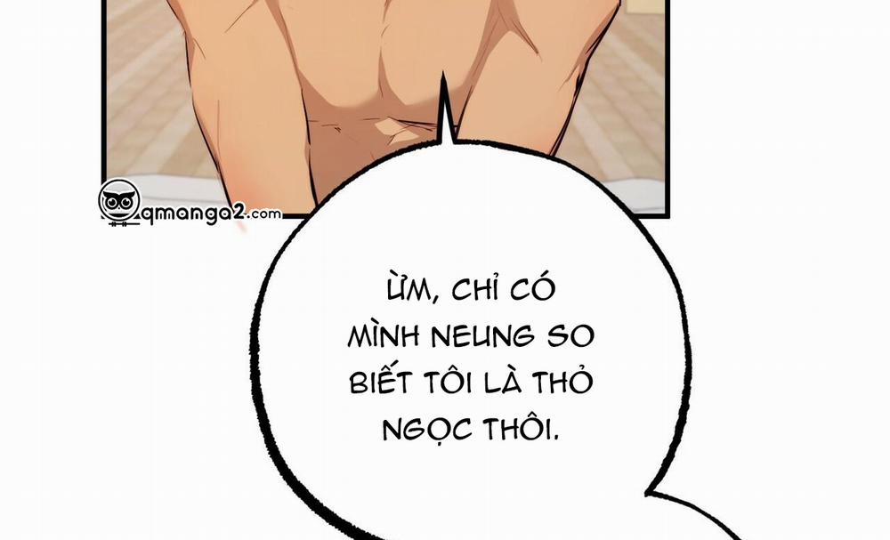 manhwax10.com - Truyện Manhwa Đàn Thỏ Của Habibi Chương 27 Trang 158