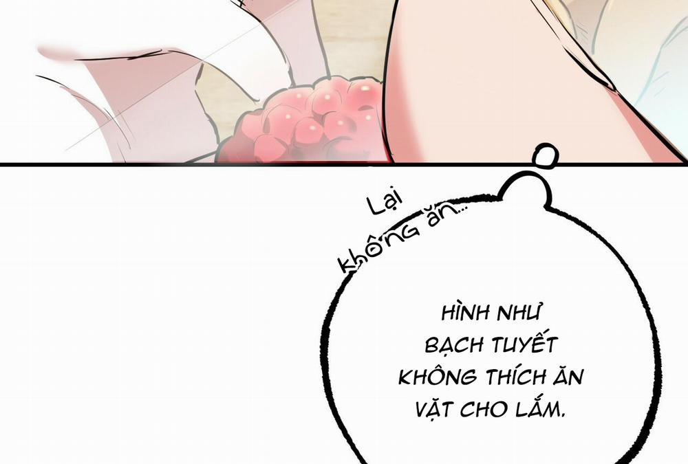 manhwax10.com - Truyện Manhwa Đàn Thỏ Của Habibi Chương 28 Trang 157