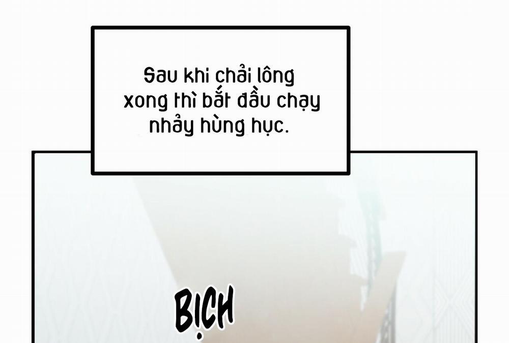 manhwax10.com - Truyện Manhwa Đàn Thỏ Của Habibi Chương 28 Trang 159