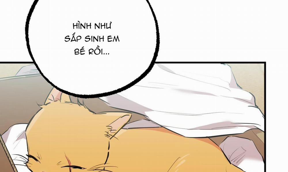 manhwax10.com - Truyện Manhwa Đàn Thỏ Của Habibi Chương 31 Trang 59