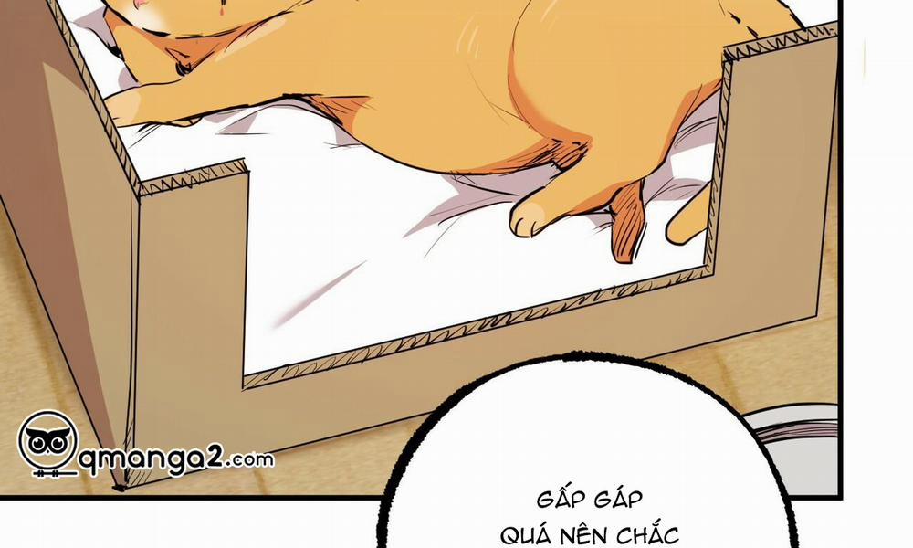 manhwax10.com - Truyện Manhwa Đàn Thỏ Của Habibi Chương 31 Trang 60