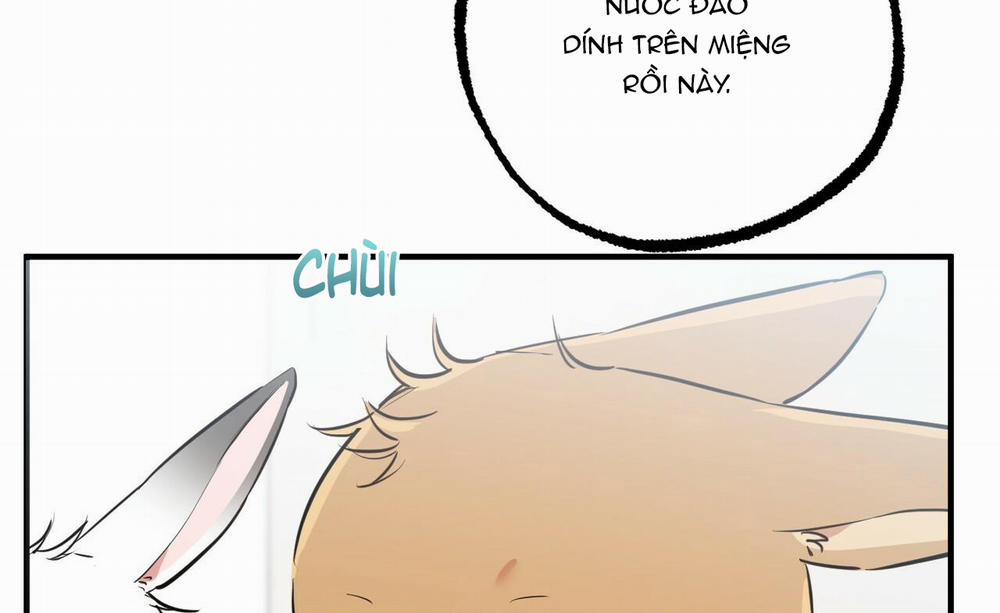 manhwax10.com - Truyện Manhwa Đàn Thỏ Của Habibi Chương 36 Trang 13