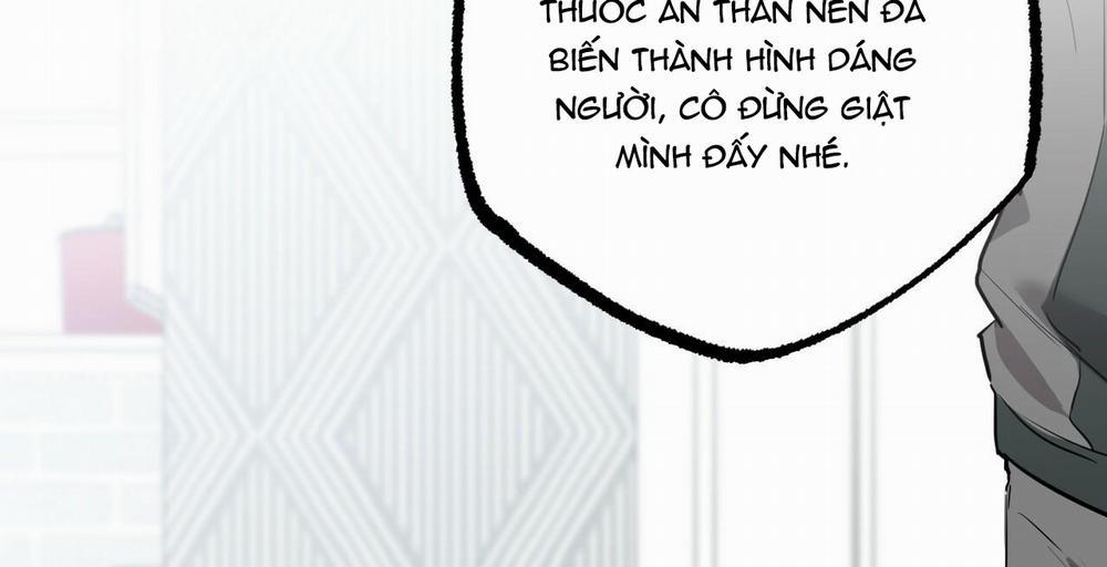 manhwax10.com - Truyện Manhwa Đàn Thỏ Của Habibi Chương 36 Trang 139