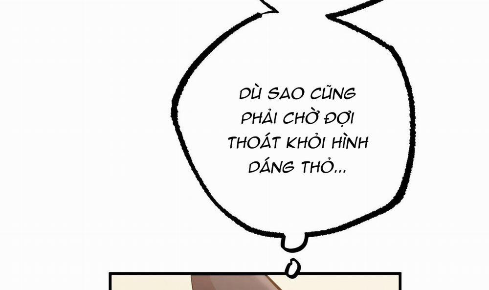 manhwax10.com - Truyện Manhwa Đàn Thỏ Của Habibi Chương 49 Trang 47