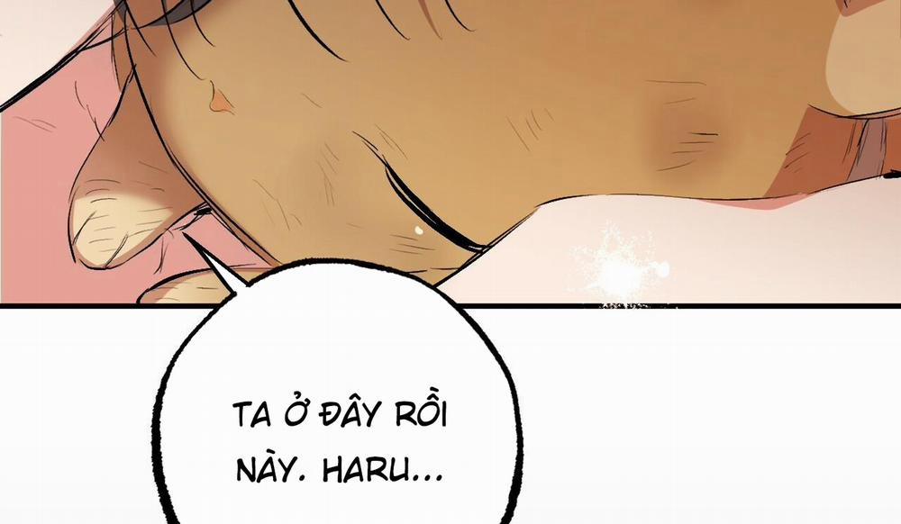 manhwax10.com - Truyện Manhwa Đàn Thỏ Của Habibi Chương 50 Trang 245