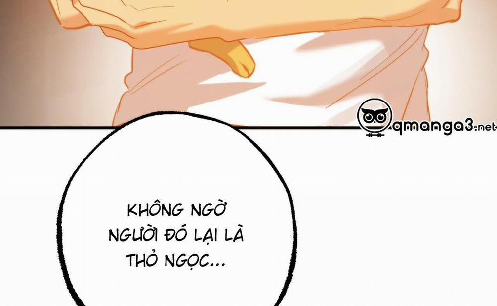 manhwax10.com - Truyện Manhwa Đàn Thỏ Của Habibi Chương 52 Trang 161