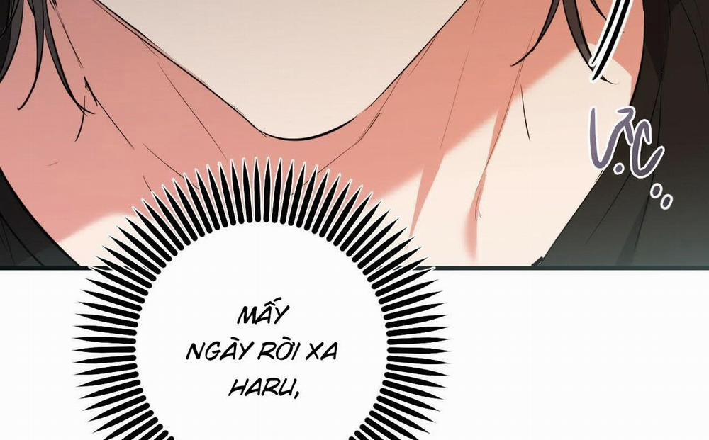 manhwax10.com - Truyện Manhwa Đàn Thỏ Của Habibi Chương 52 Trang 8