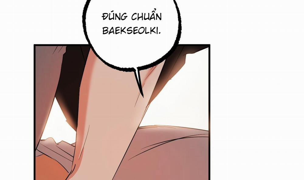 manhwax10.com - Truyện Manhwa Đàn Thỏ Của Habibi Chương 53 Trang 248