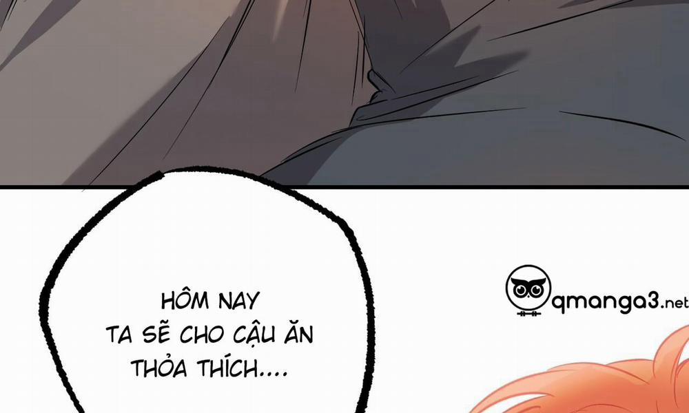 manhwax10.com - Truyện Manhwa Đàn Thỏ Của Habibi Chương 53 Trang 271