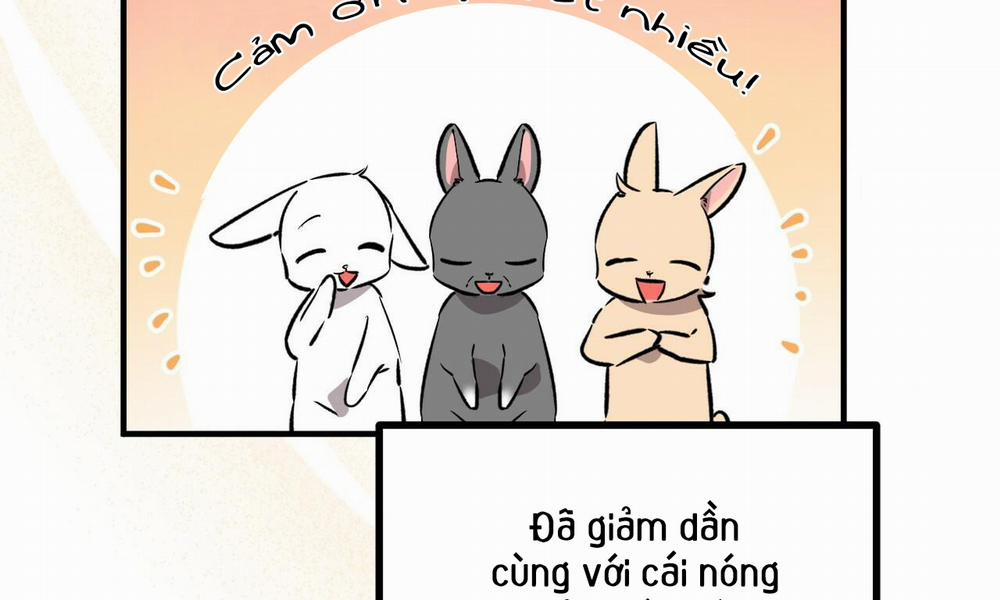 manhwax10.com - Truyện Manhwa Đàn Thỏ Của Habibi Chương 55 Trang 3