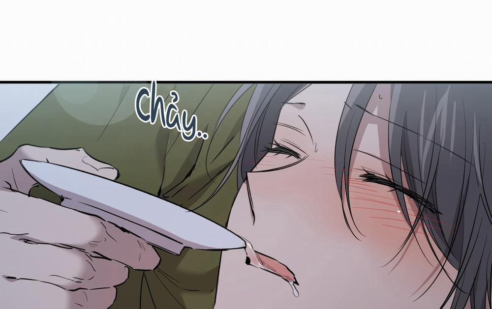 manhwax10.com - Truyện Manhwa Đàn Thỏ Của Habibi Chương 61 Trang 163