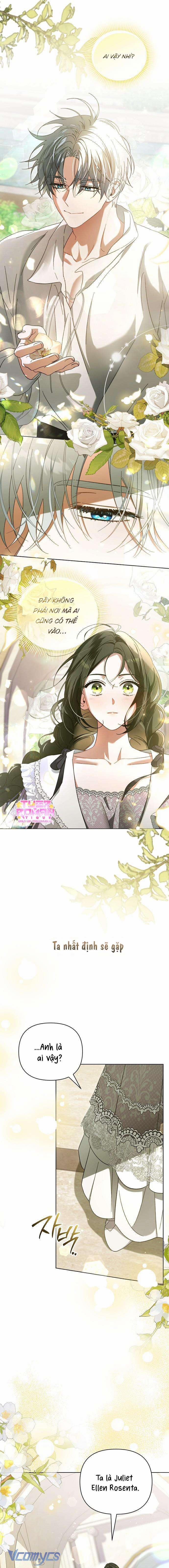 manhwax10.com - Truyện Manhwa Dành Cho Nàng Juliet Xinh Đẹp Chương 1 Trang 18