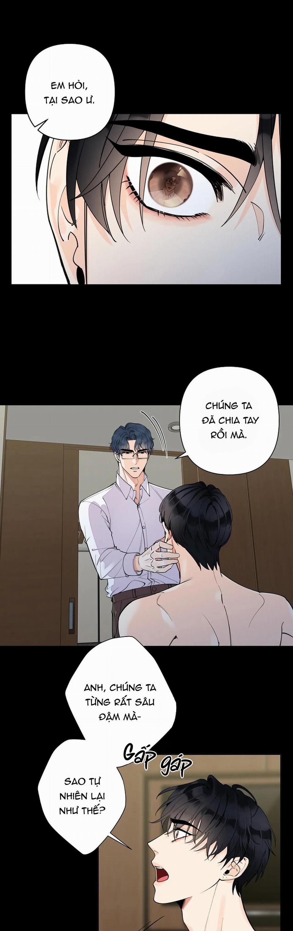 manhwax10.com - Truyện Manhwa Đêm Dịu Dàng Chương 2 Trang 8