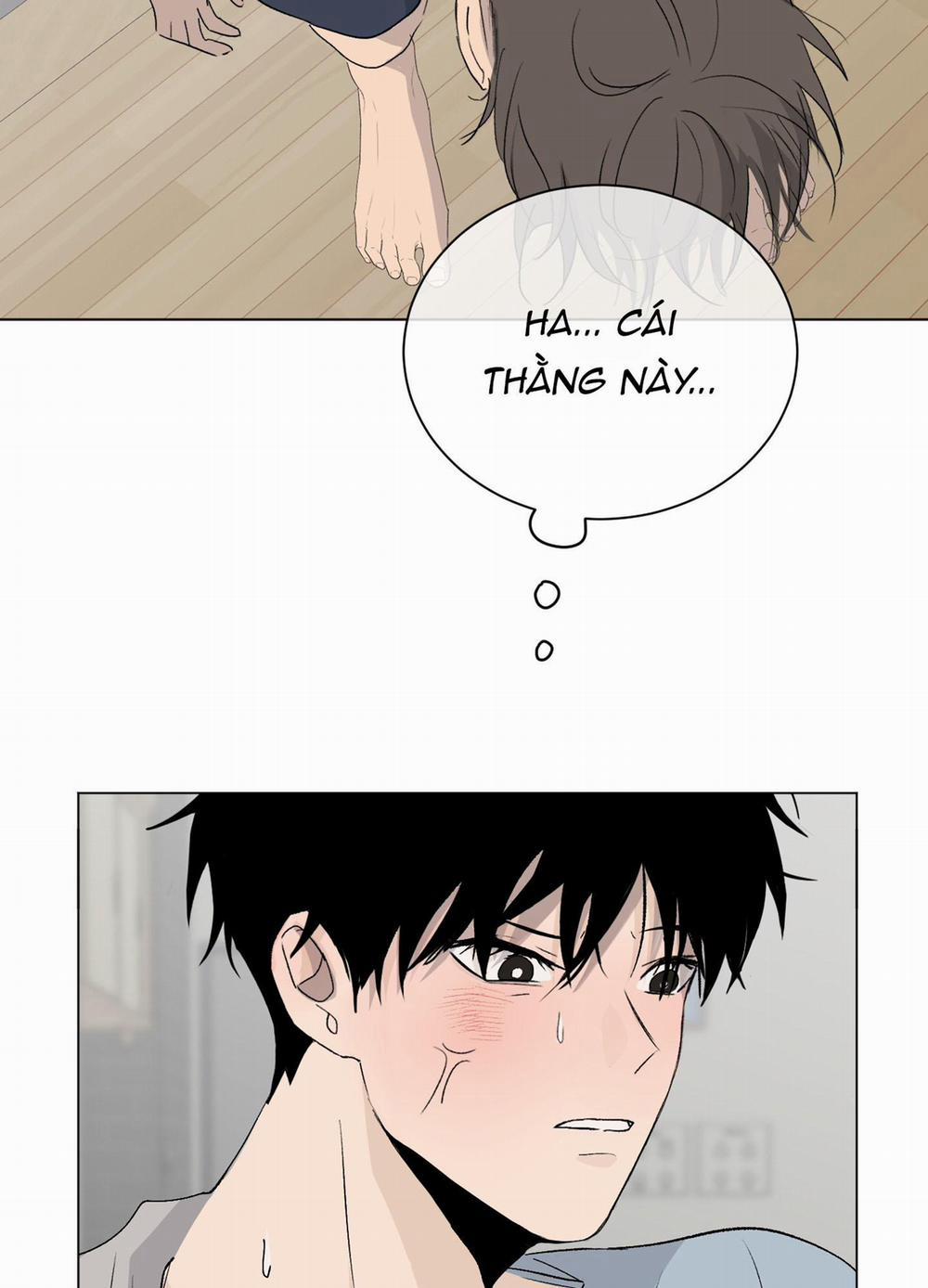 manhwax10.com - Truyện Manhwa Đêm Mùa Hè Có Hoa Lupin Chương 2 Trang 19