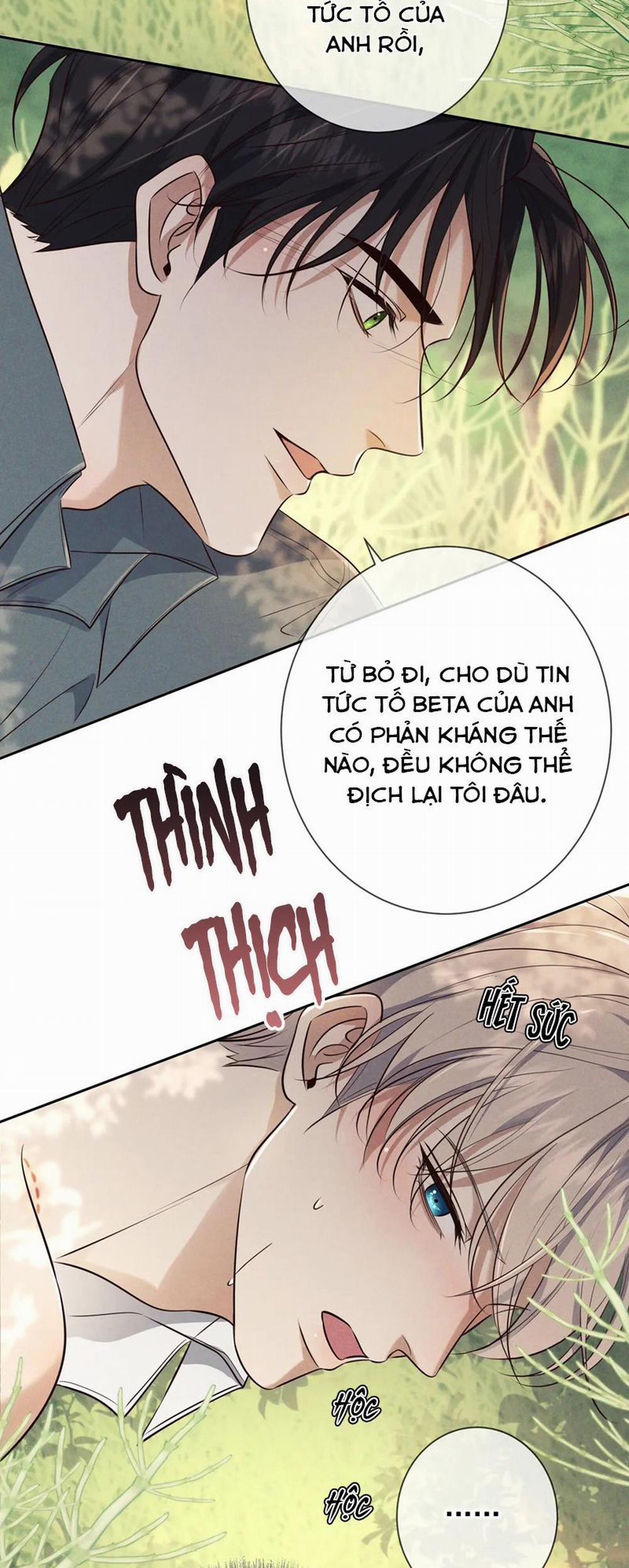 manhwax10.com - Truyện Manhwa Đêm Tình Yêu Và Sát Ý Chương 17 Trang 26