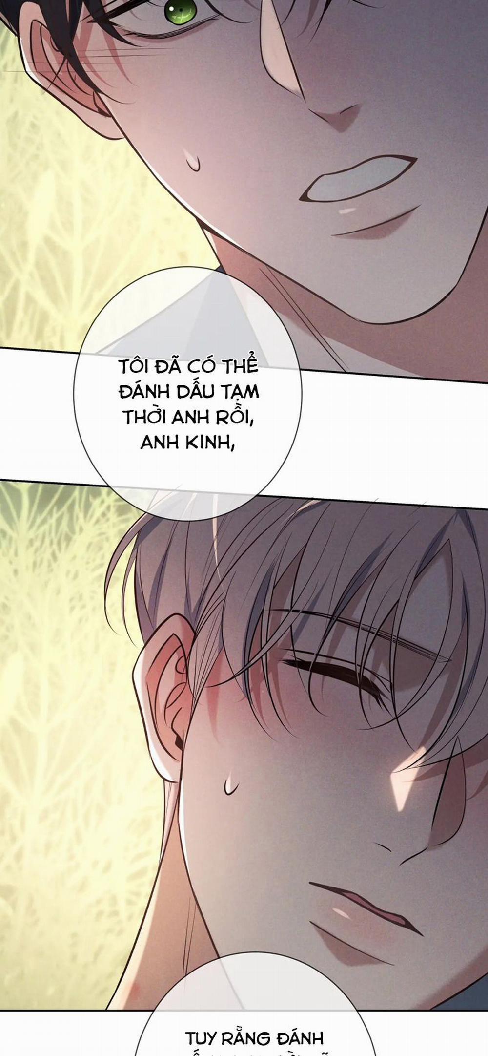 manhwax10.com - Truyện Manhwa Đêm Tình Yêu Và Sát Ý Chương 17 Trang 48