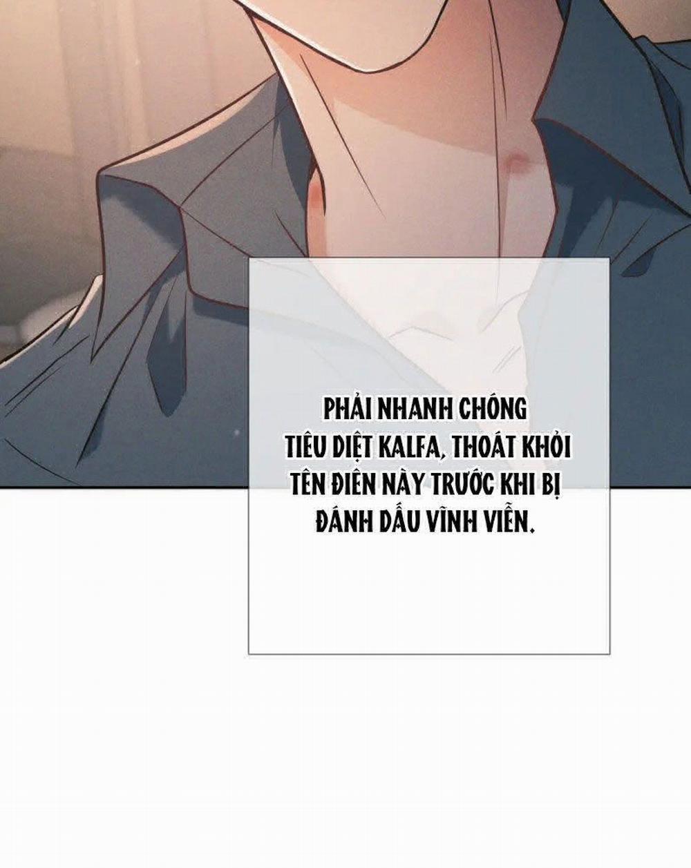 manhwax10.com - Truyện Manhwa Đêm Tình Yêu Và Sát Ý Chương 25 Trang 64