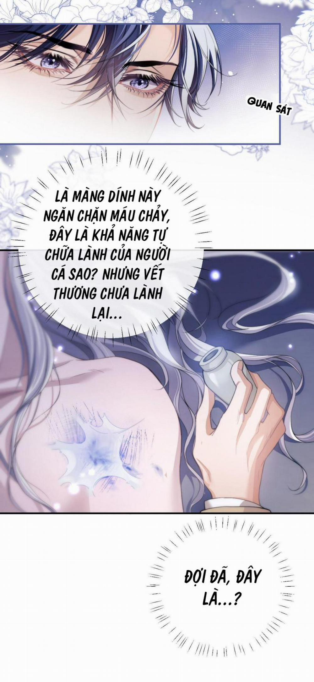 manhwax10.com - Truyện Manhwa Desharow Nhân Ngư Chương 4 Trang 15