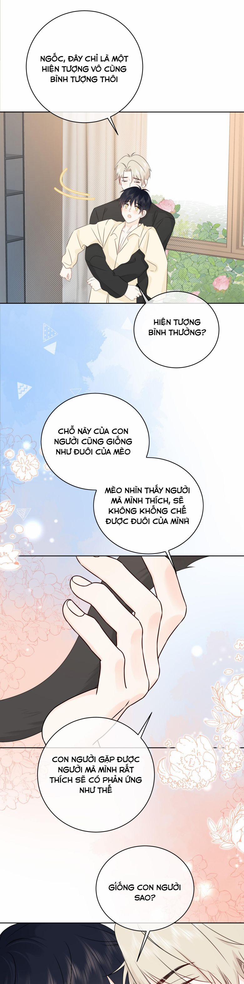 manhwax10.com - Truyện Manhwa Dinh Dưỡng Quá Tốt Chương 50 Trang 19