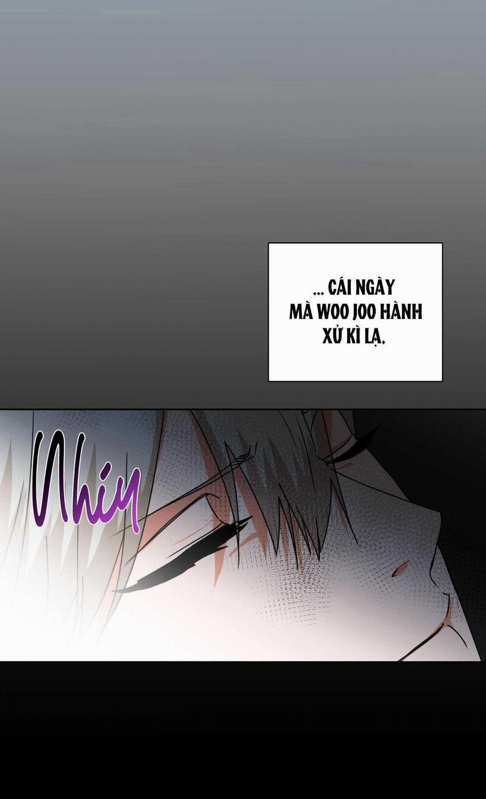 manhwax10.com - Truyện Manhwa Định Mệnh Sao?! Chương 13 Trang 4