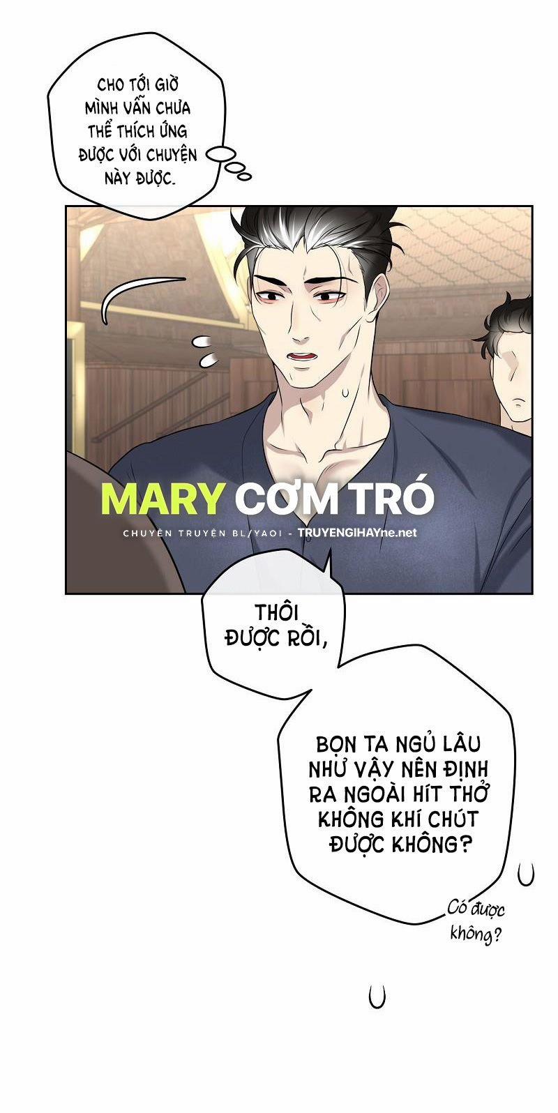 manhwax10.com - Truyện Manhwa Đóa Hoa Batavia Của Tôi Chương 1 2 Trang 11