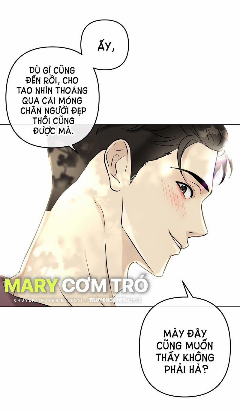 manhwax10.com - Truyện Manhwa Đóa Hoa Batavia Của Tôi Chương 1 2 Trang 21