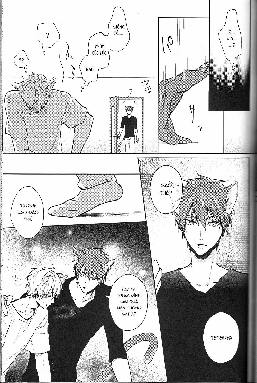 manhwax10.com - Truyện Manhwa Doujinshi của Kuroko no basket ball Chương 6 Trang 5