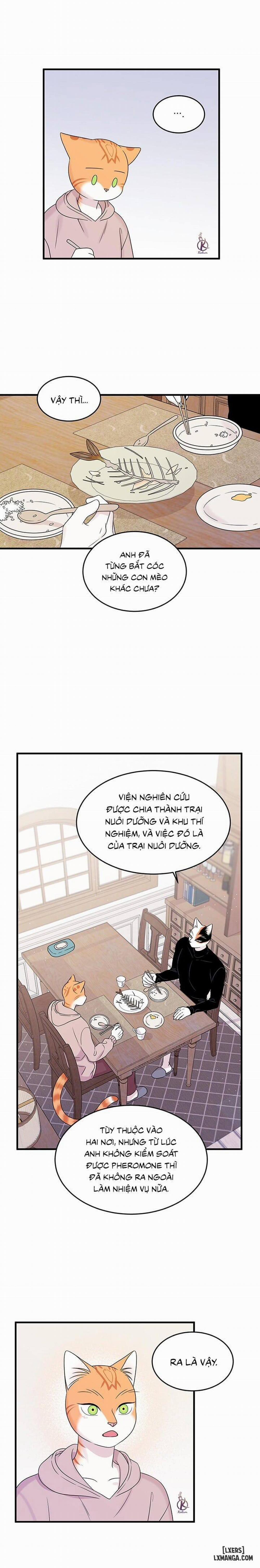 manhwax10.com - Truyện Manhwa Dự Án Xanh Chương 36 Trang 9