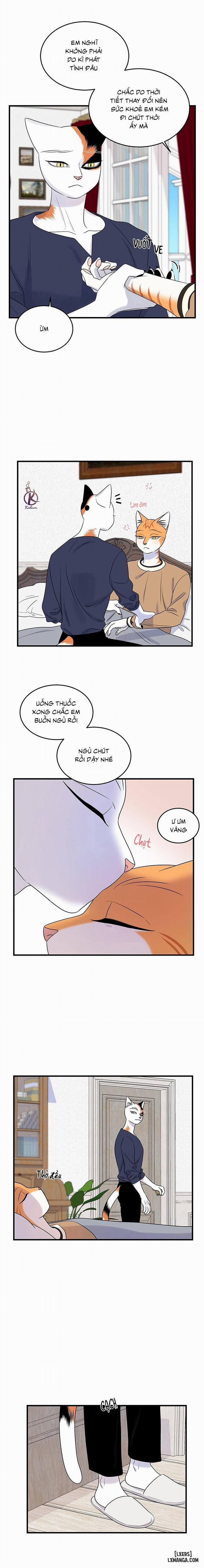 manhwax10.com - Truyện Manhwa Dự Án Xanh Chương 48 Trang 7