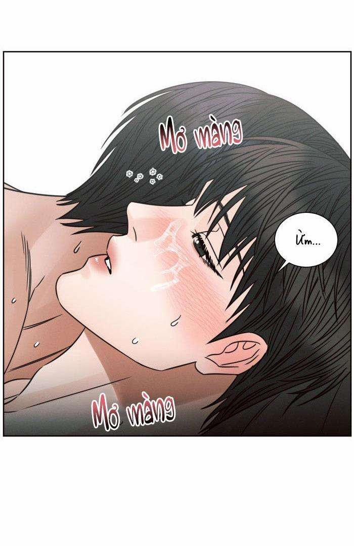 manhwax10.com - Truyện Manhwa Dù Anh Không Yêu Em Chương 99 Trang 54