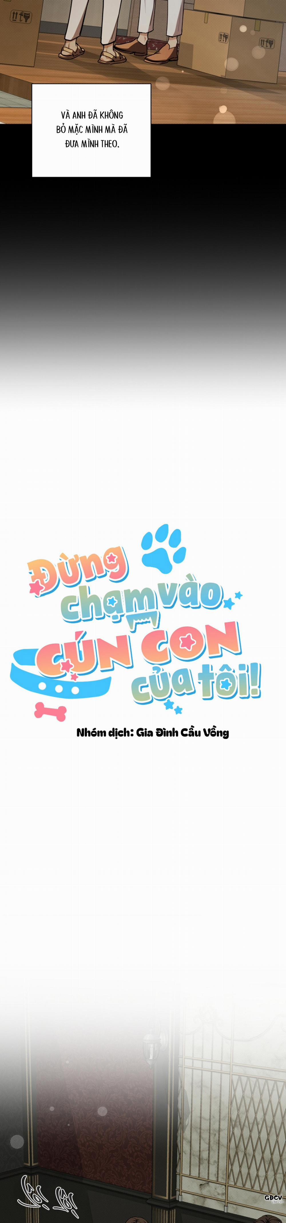 manhwax10.com - Truyện Manhwa ĐỪNG CHẠM VÀO CÚN CON CỦA TÔI Chương 16 Trang 7