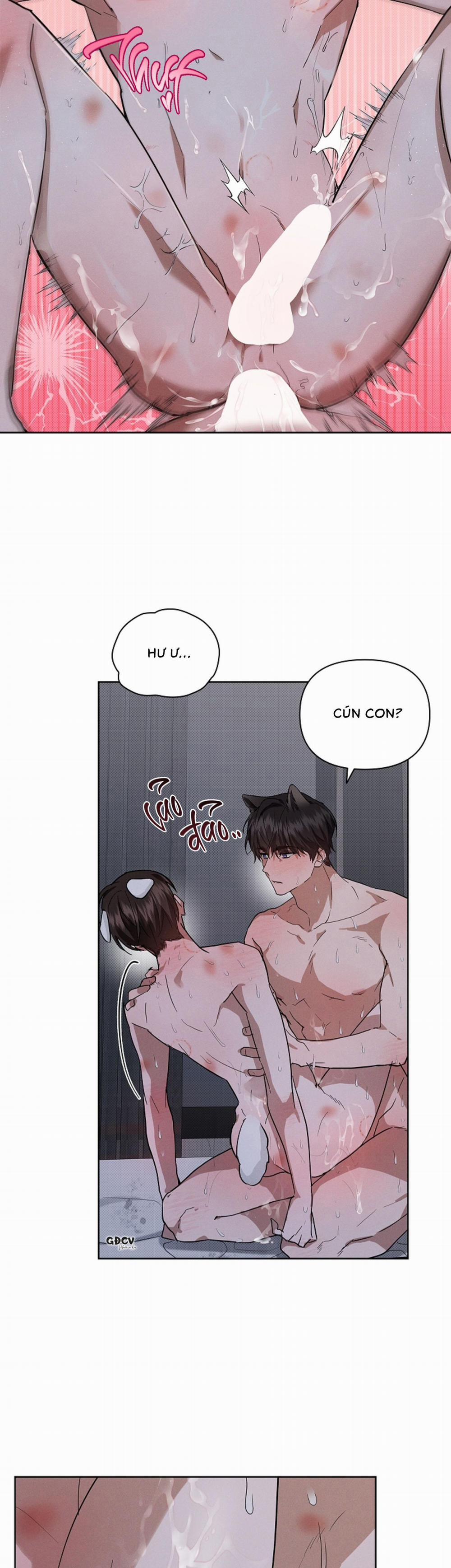 manhwax10.com - Truyện Manhwa ĐỪNG CHẠM VÀO CÚN CON CỦA TÔI Chương 26 18 Trang 12