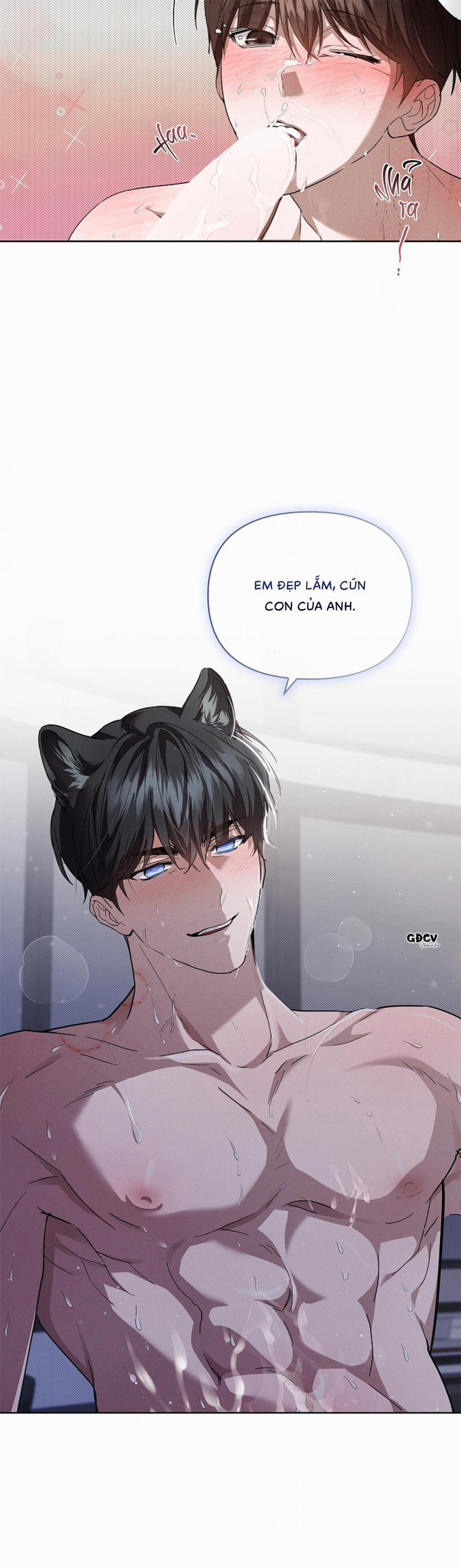 manhwax10.com - Truyện Manhwa ĐỪNG CHẠM VÀO CÚN CON CỦA TÔI Chương 26 18 Trang 17