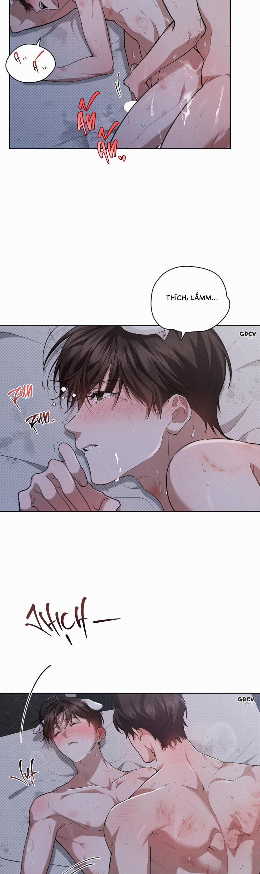 manhwax10.com - Truyện Manhwa ĐỪNG CHẠM VÀO CÚN CON CỦA TÔI Chương 26 18 Trang 4