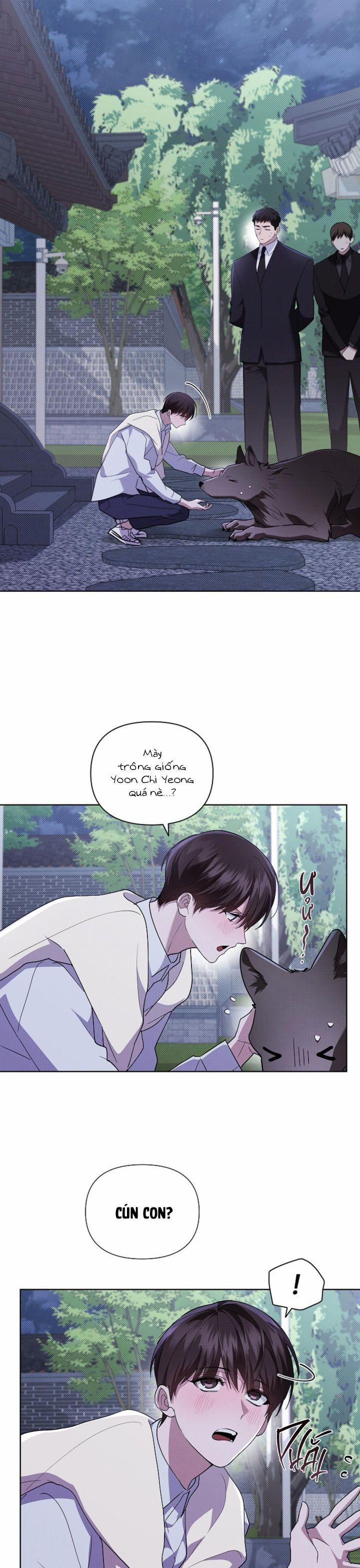 manhwax10.com - Truyện Manhwa ĐỪNG CHẠM VÀO CÚN CON CỦA TÔI Chương 30 Trang 2