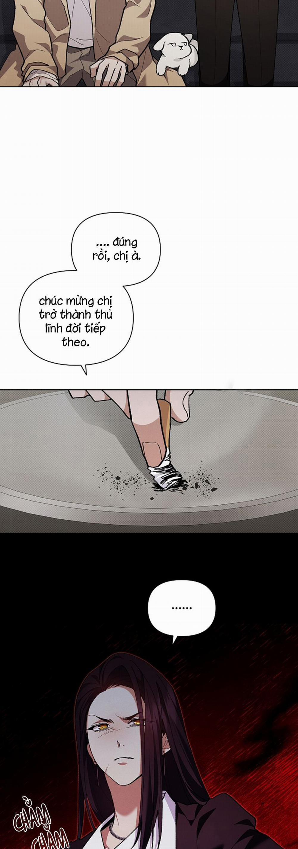 manhwax10.com - Truyện Manhwa Đừng Chạm Vào Cún Con Chương 8 Trang 16